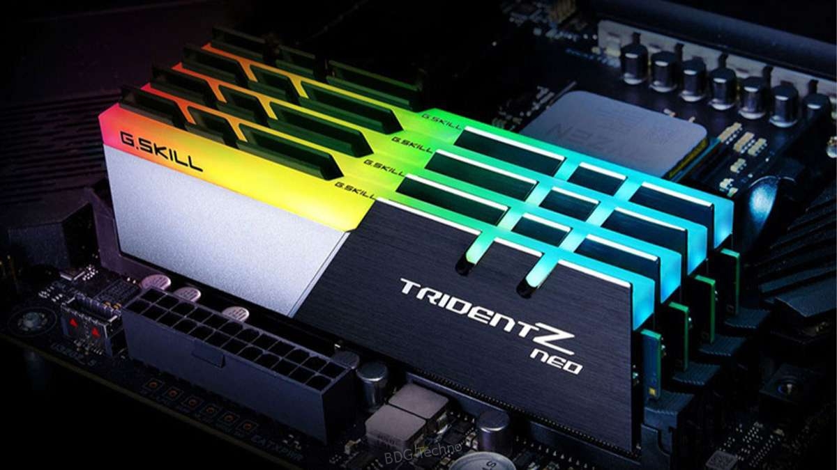 bo-nho-trong-10
